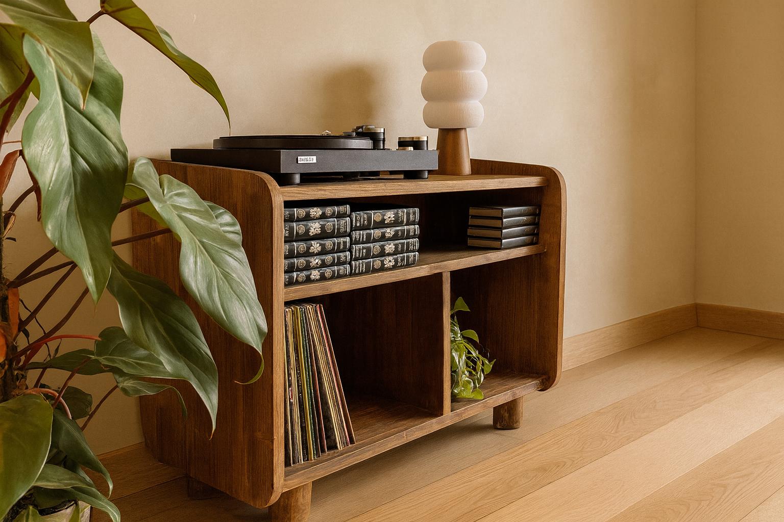 Meuble vinyles en bois massif – Rangement élégant et pratique pour tourne-disque
